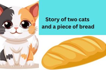 Story of two cats and a piece of bread