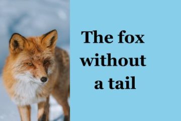 Story the fox without a tail