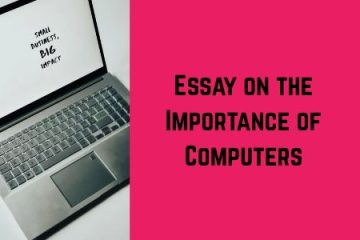 Essay on the Importance of Computers